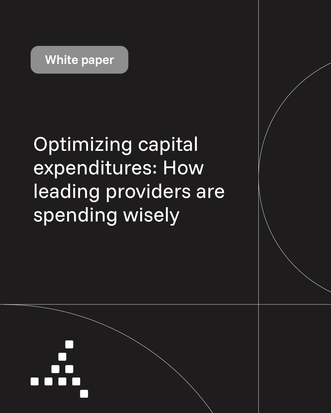 Trimedx white paper: Optimizing capital expenditures: How leading providers are spending wisely